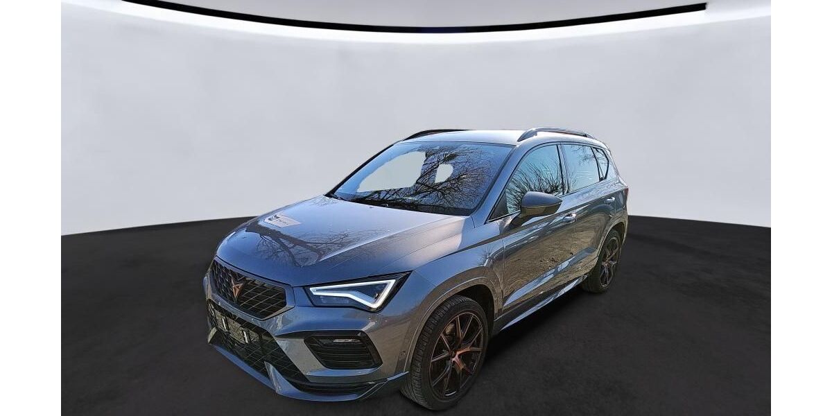Cupra Ateca 74.113 km 29.150 &euro; Hagen 58091