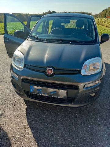 Gebrauchte Fiat Panda